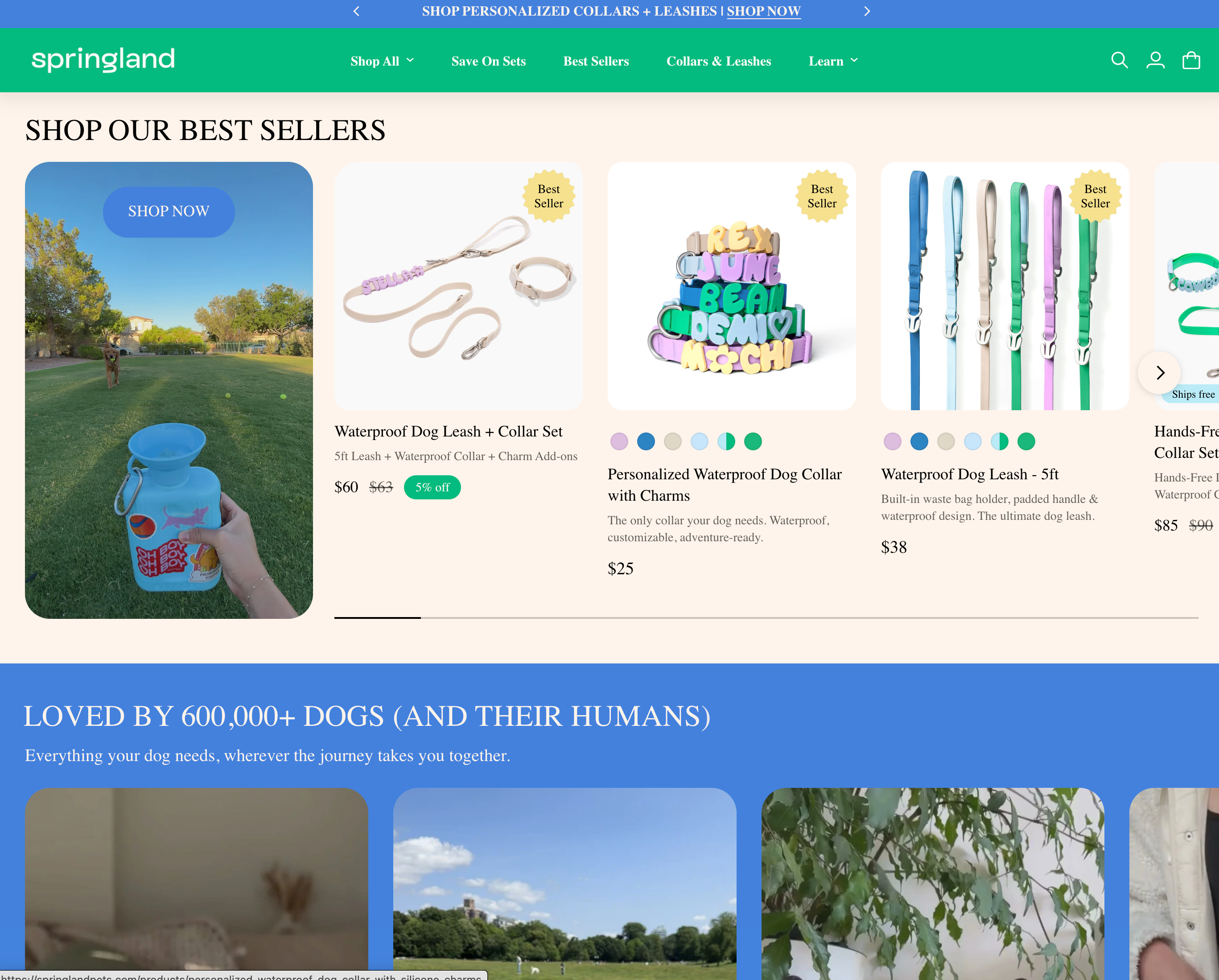 Springland Pets home page showing personalized waterproof dog collars