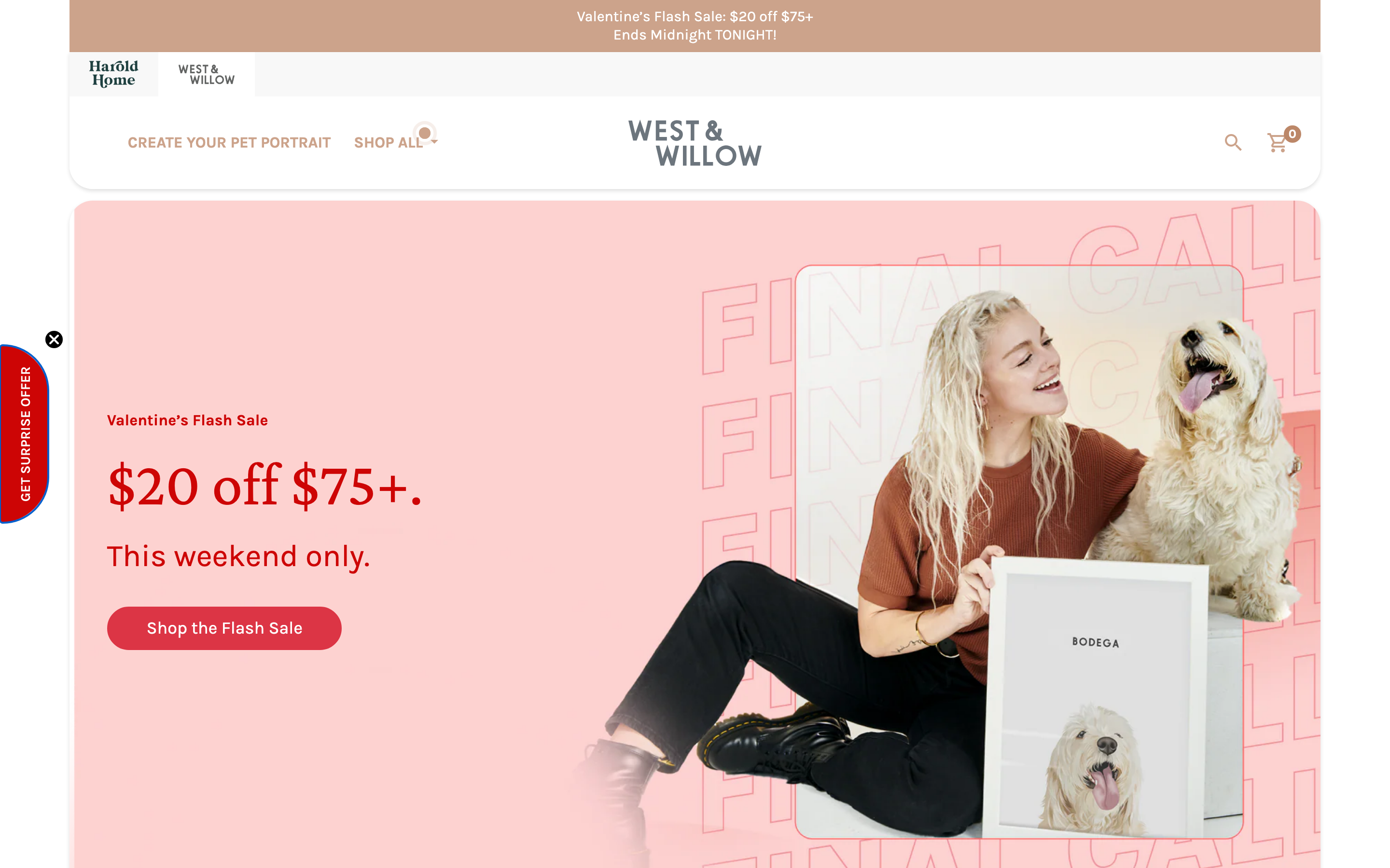 West & Willow store page featuring custom modern pet portrait illustrations