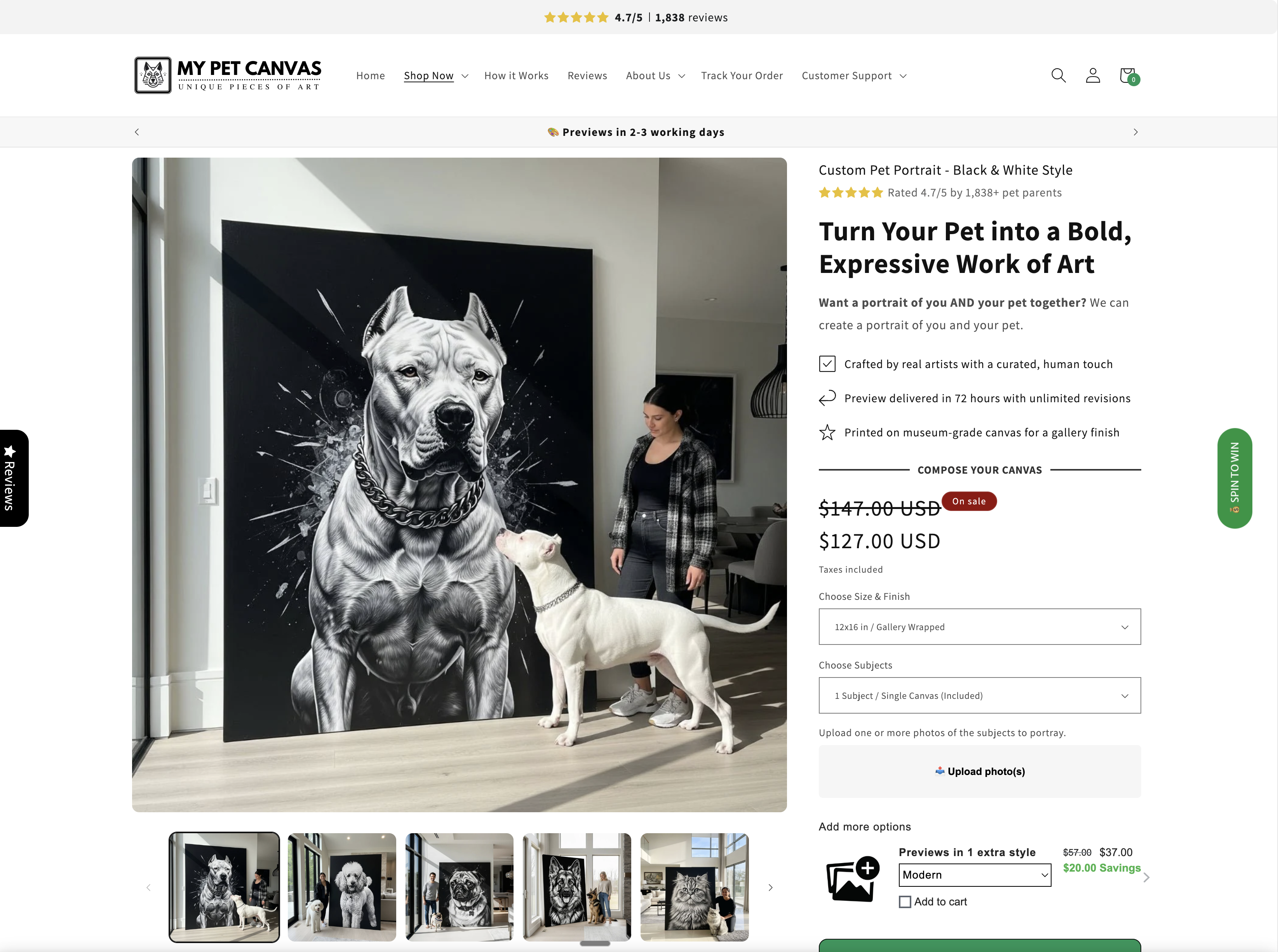 My Pet Canvas product page