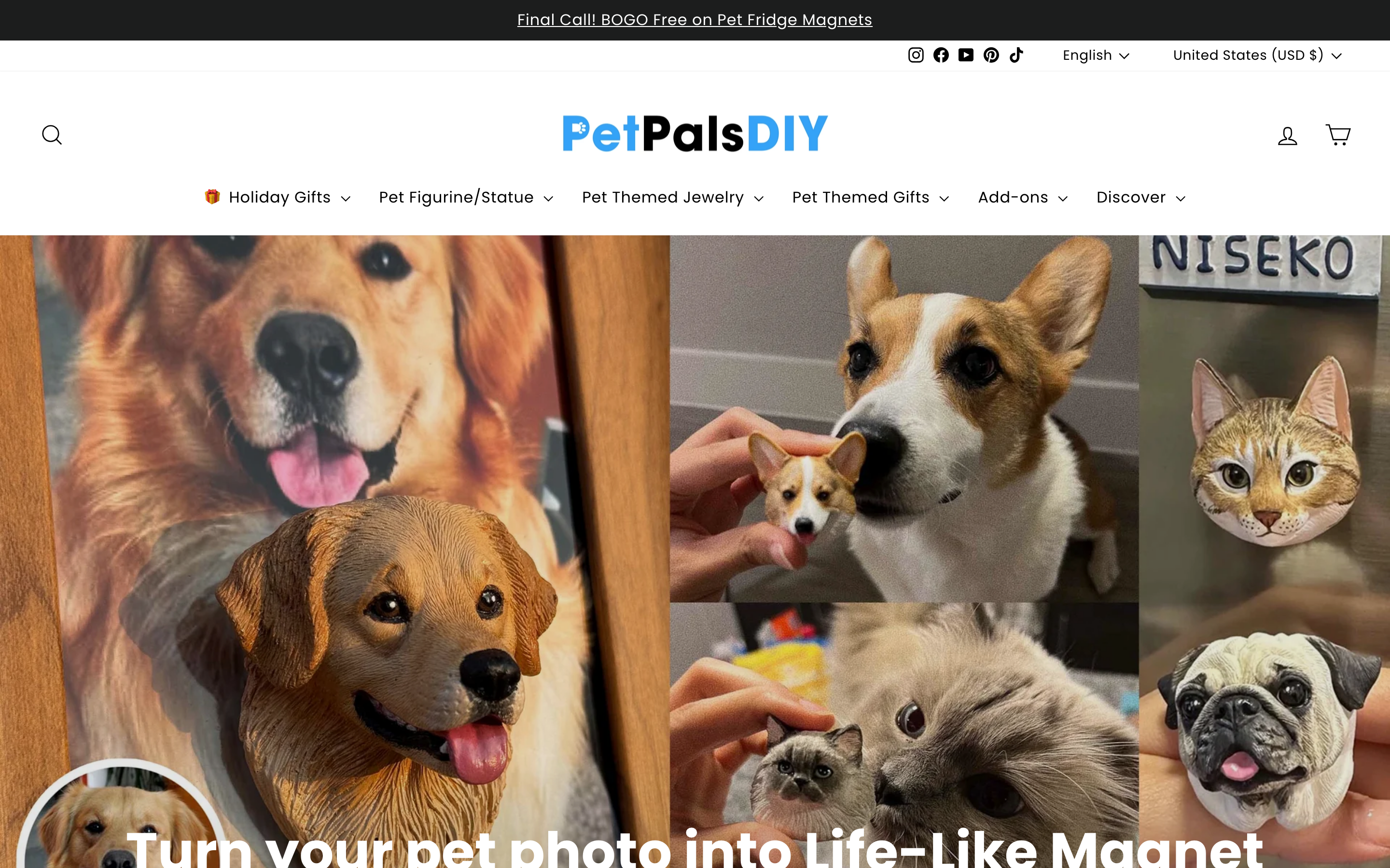 Pet Pals DIY homepage