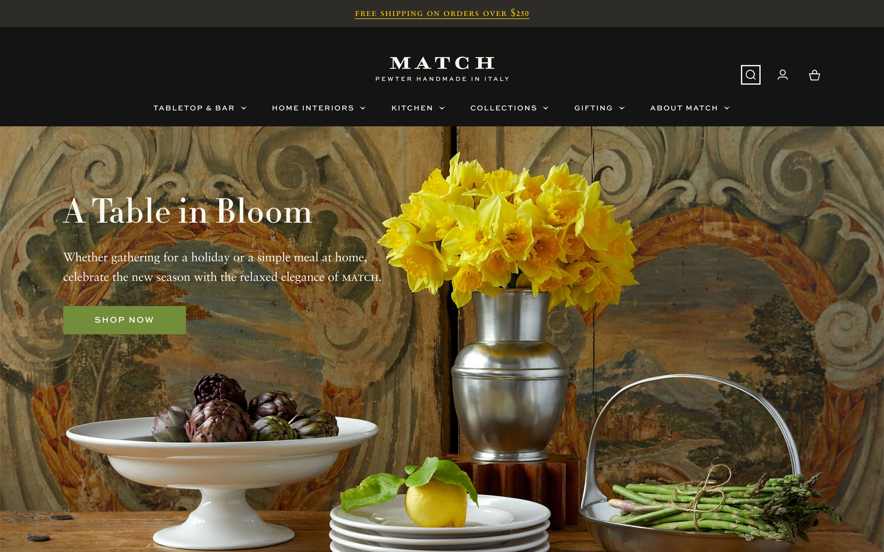 Plaques match1995.com homepage screenshot