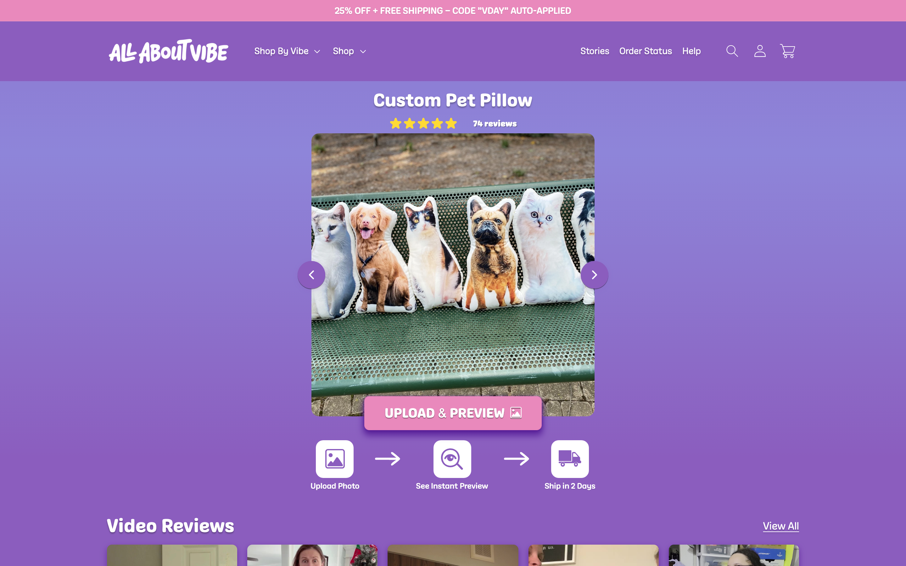 All About Vibe 3D shaped pet pillows showcasing realistic pet face reproductions and premium gift packaging