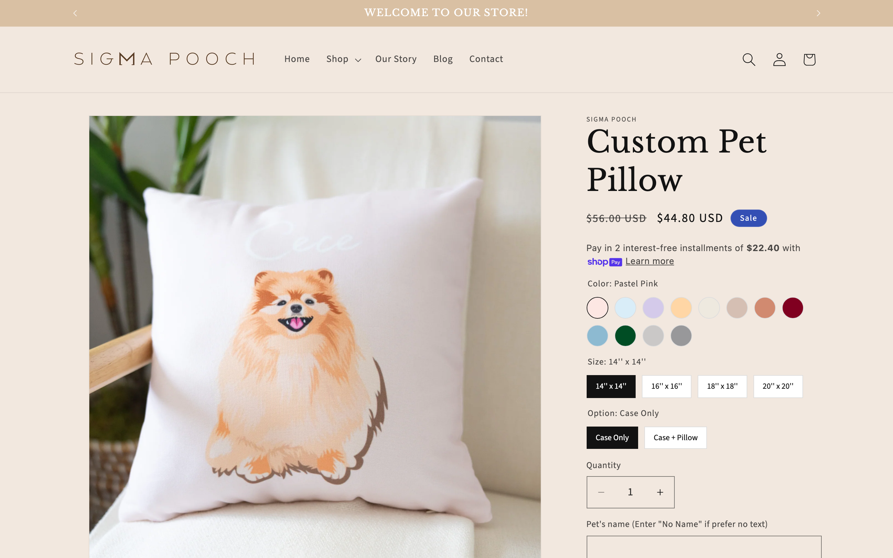 Personalized pillow store interface showing customization options, product previews, and ordering workflow