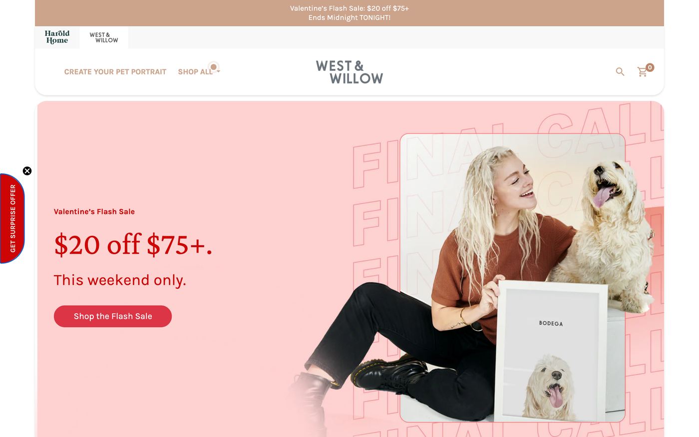West & Willow store page featuring custom modern pet portrait illustrations